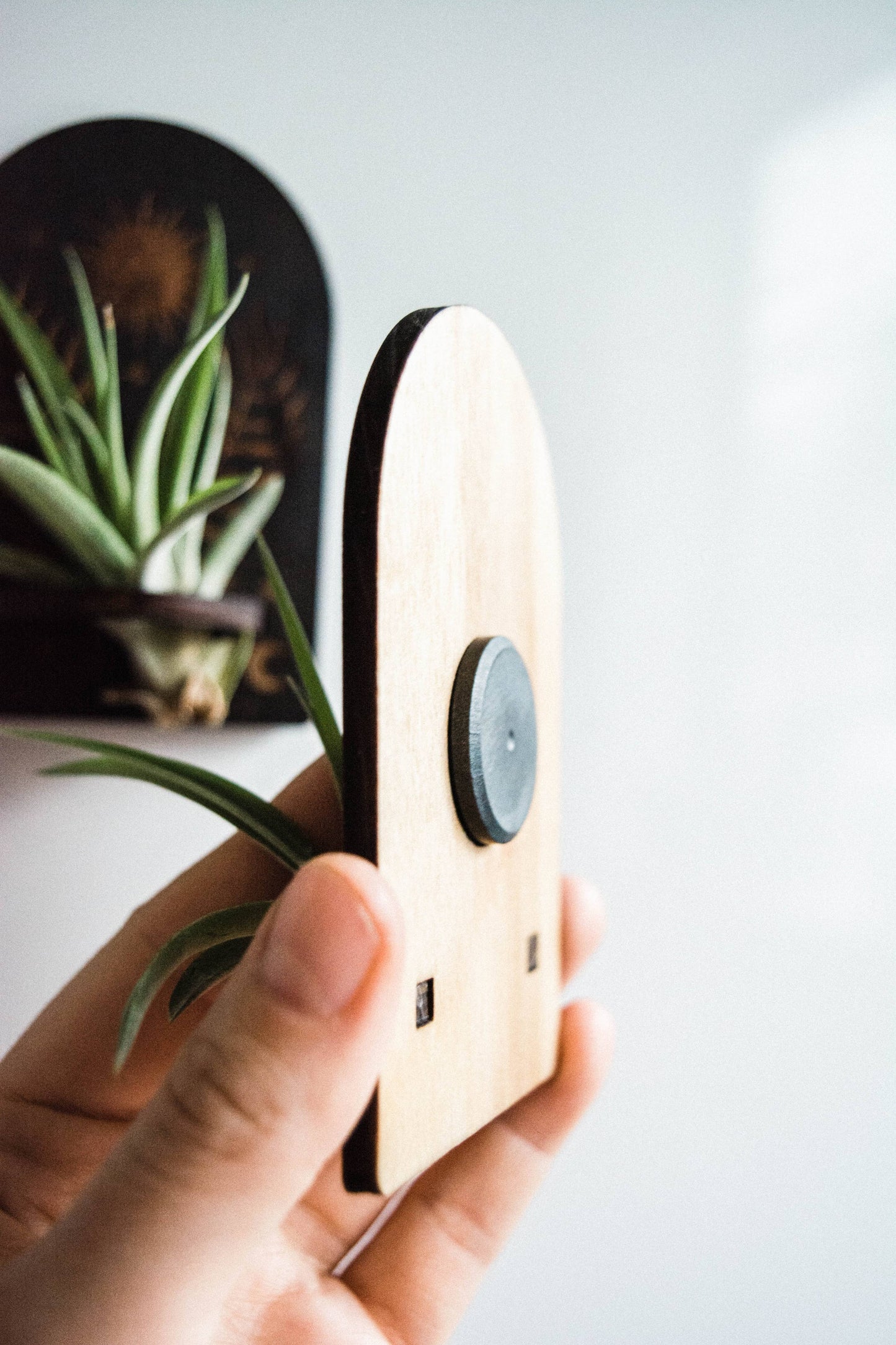 Sun, Moon, Stars & Ferns Wooden Airplant Holder Magnet