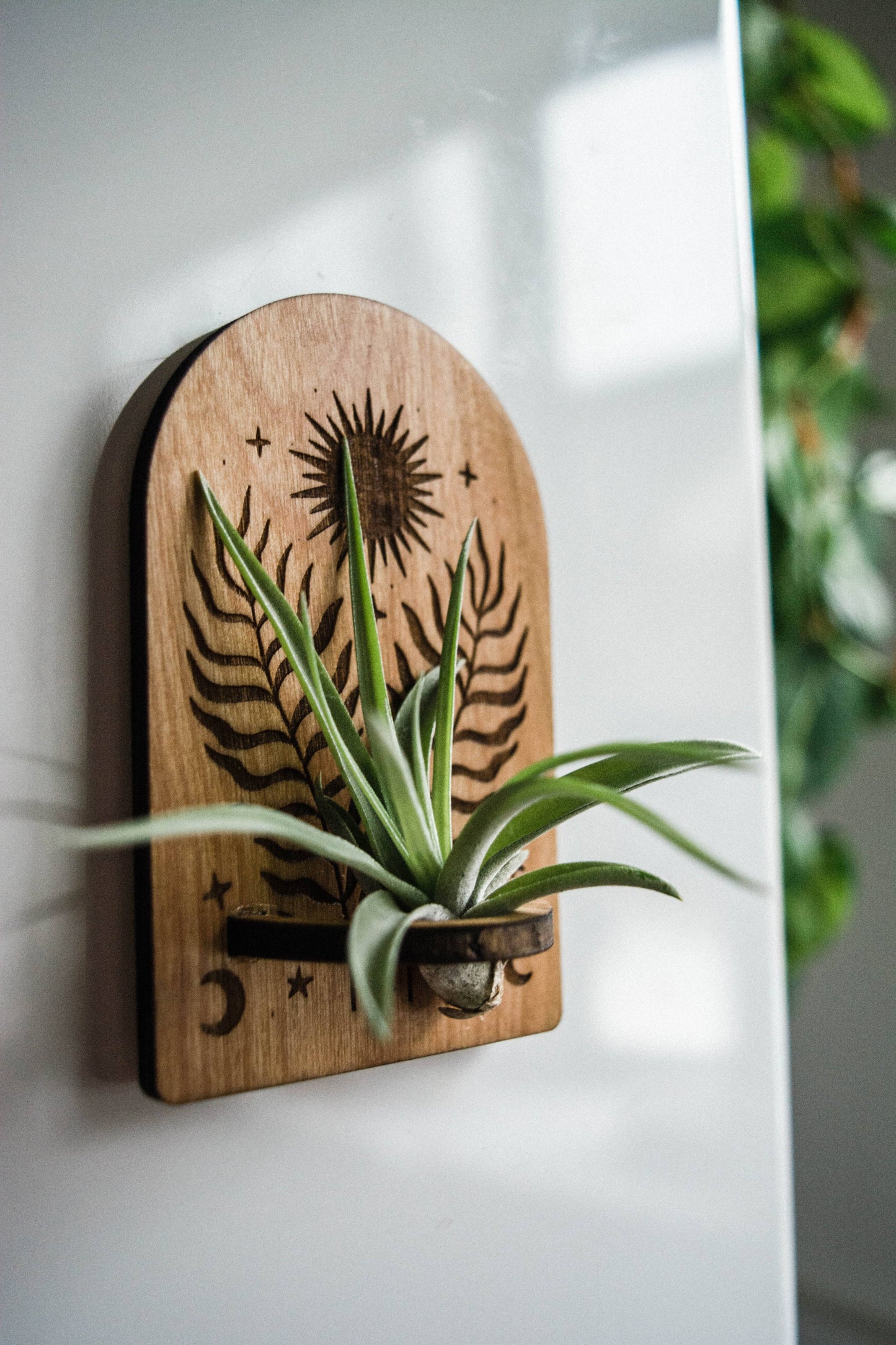 Sun, Moon, Stars & Ferns Wooden Airplant Holder Magnet