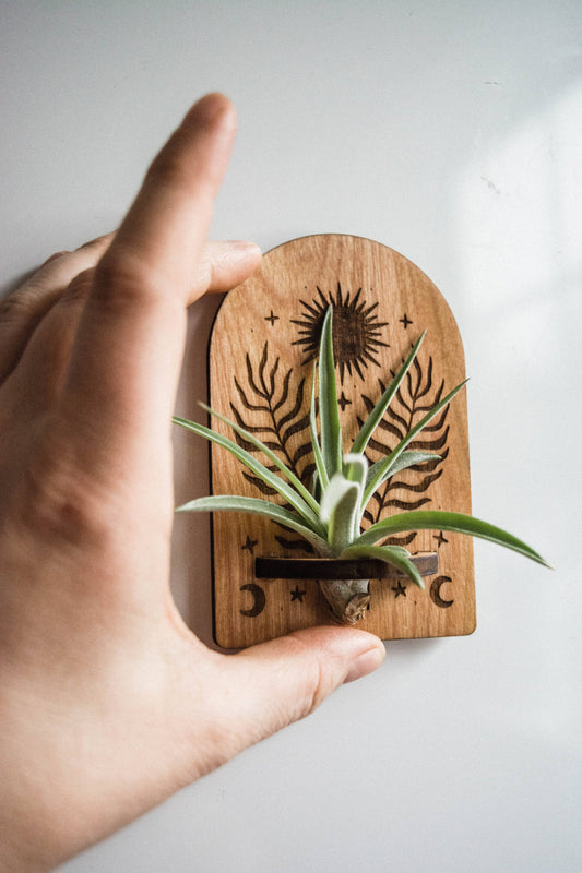 Sun, Moon, Stars & Ferns Wooden Airplant Holder Magnet
