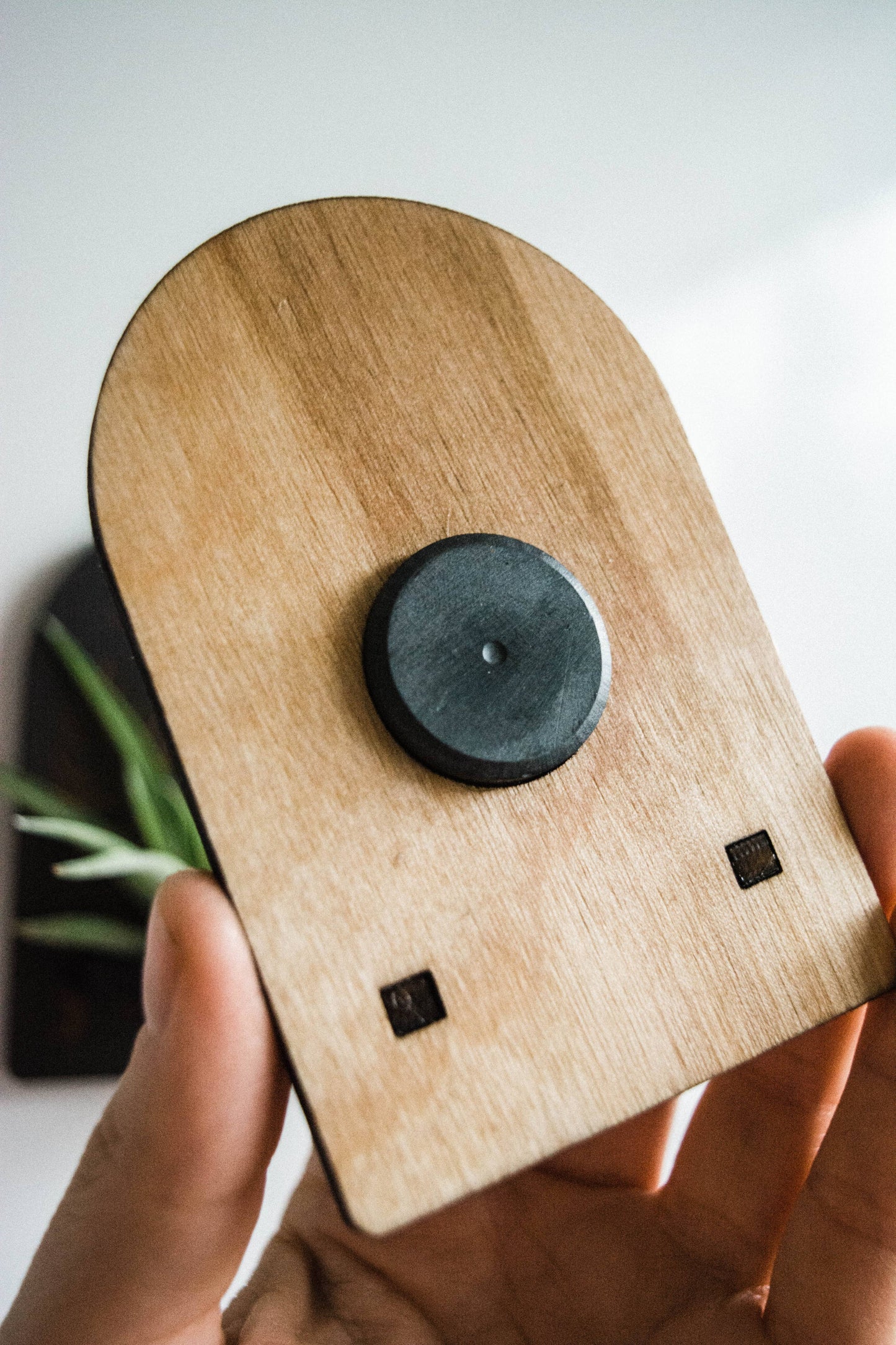 Sun, Moon, Stars & Ferns Wooden Airplant Holder Magnet