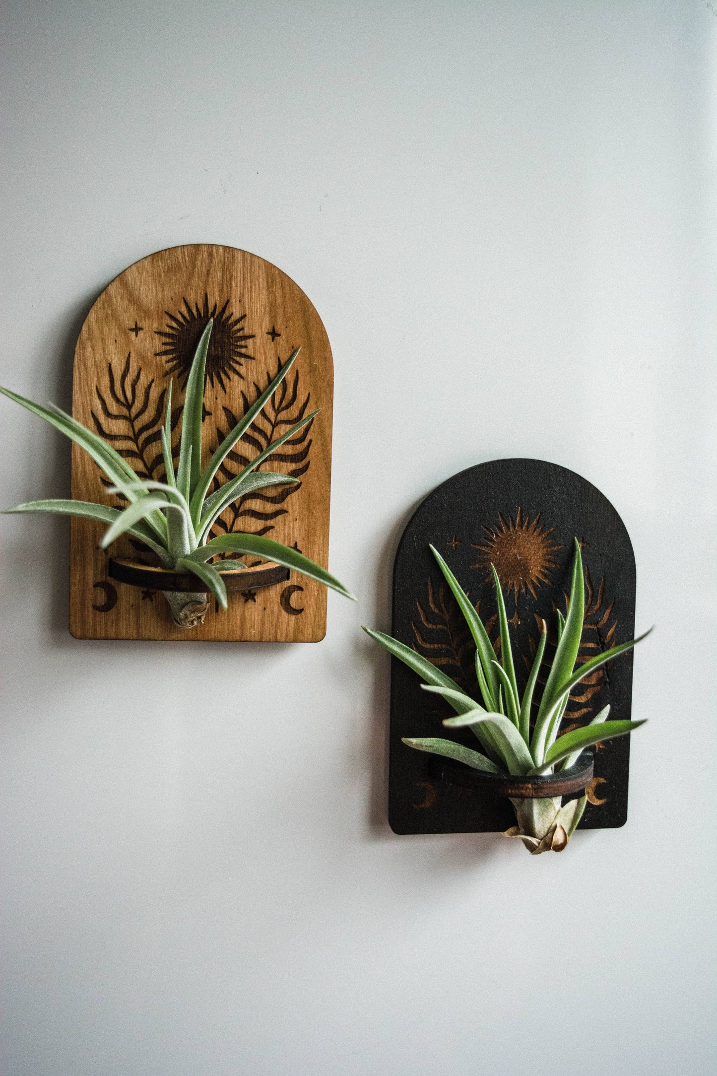 Sun, Moon, Stars & Ferns Wooden Airplant Holder Magnet