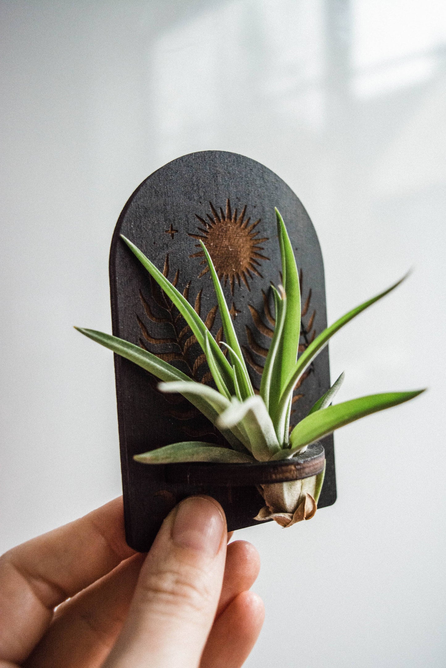 Sun, Moon, Stars & Ferns Wooden Airplant Holder Magnet