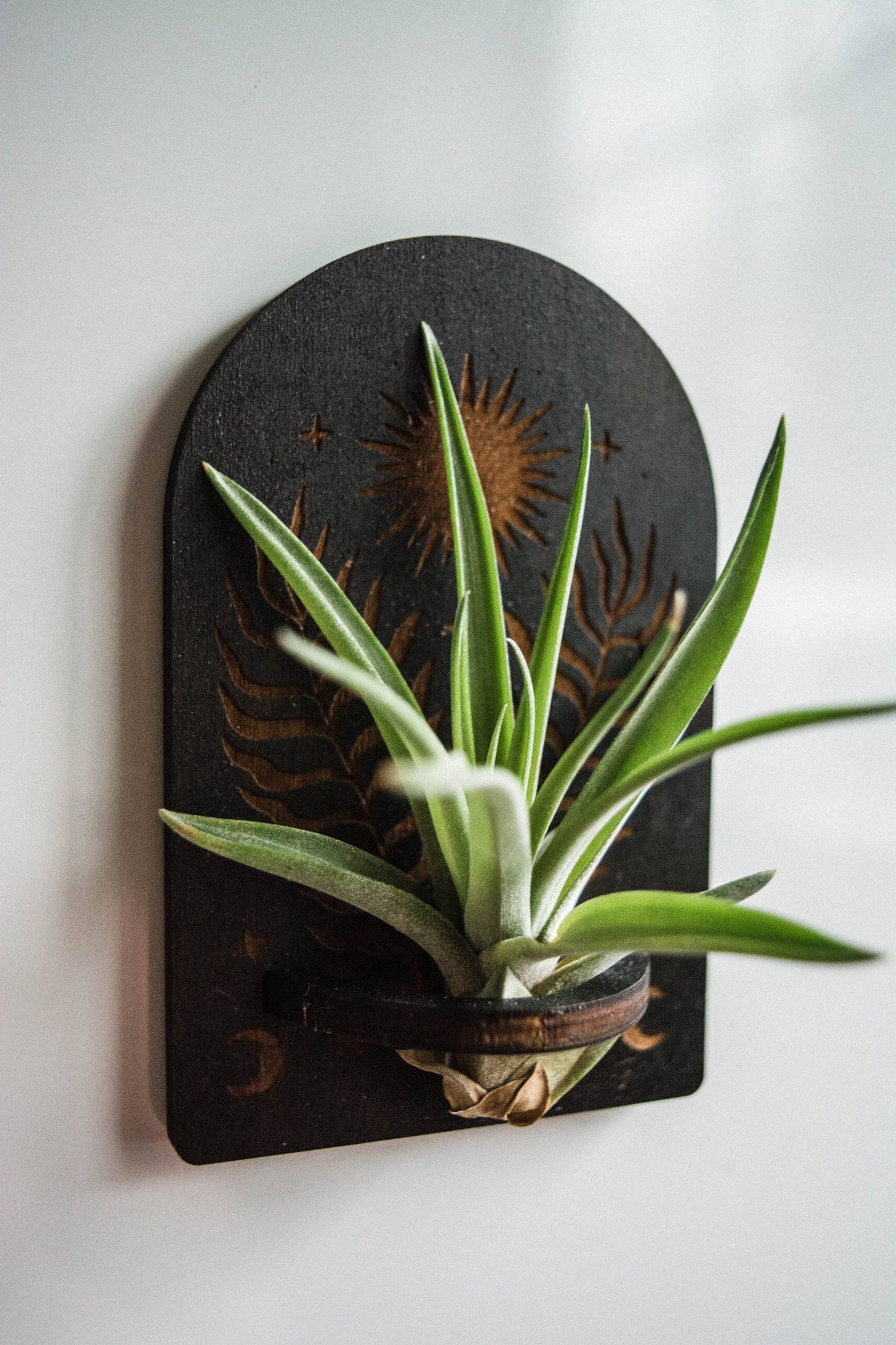 Sun, Moon, Stars & Ferns Wooden Airplant Holder Magnet